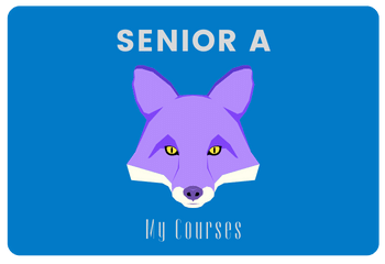 Senior A iWonder 4 (International Edition)