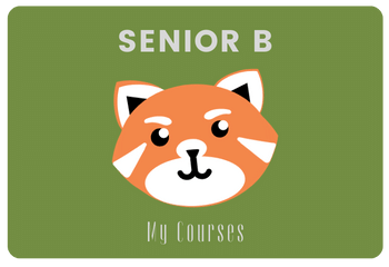 Senior B iWonder 5 (International Edition)