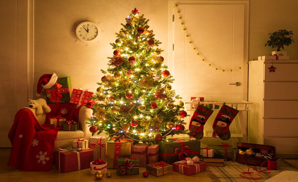 Christmas-tree-natural-artificial-sustainable-ecological