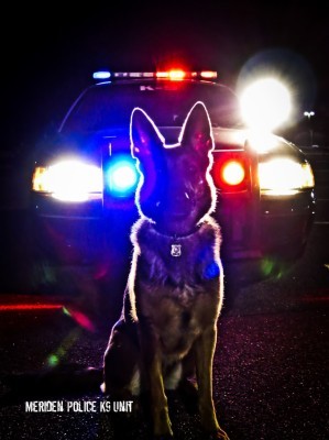 358-3589223_law-enforcement-police-k9