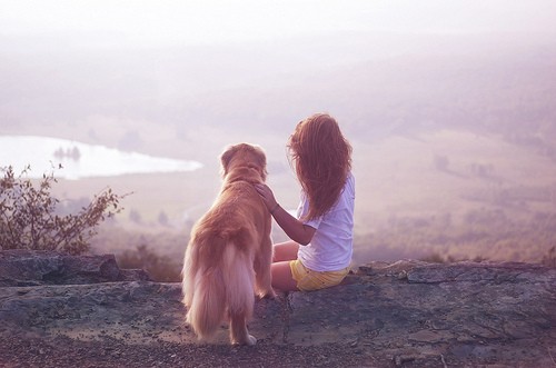 53550-Girl-And-Dog