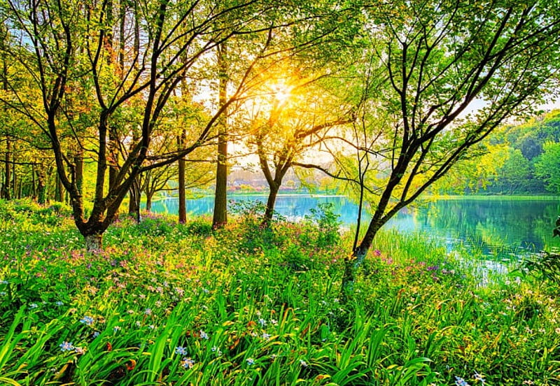 HD-wallpaper-spring-lake-flowers-beautiful-green-grass-sunshine-sunset-trees-lake