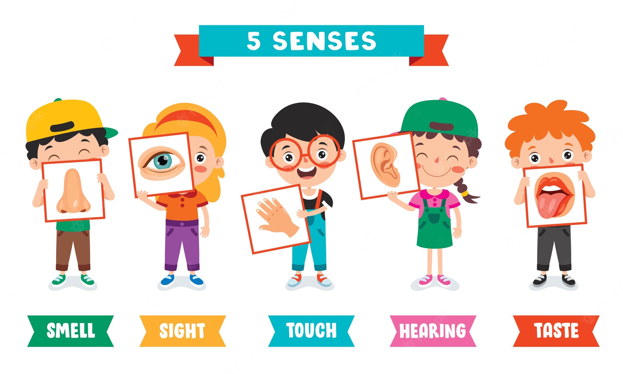 five-senses-template-with-kids-holding-human-organs_29937-6430