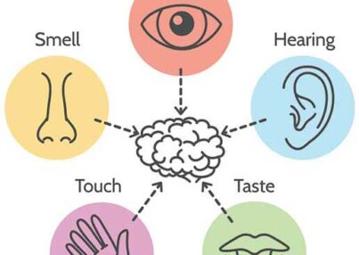 making-the-most-of-your-five-senses