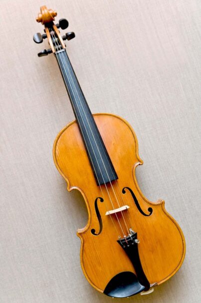 violin