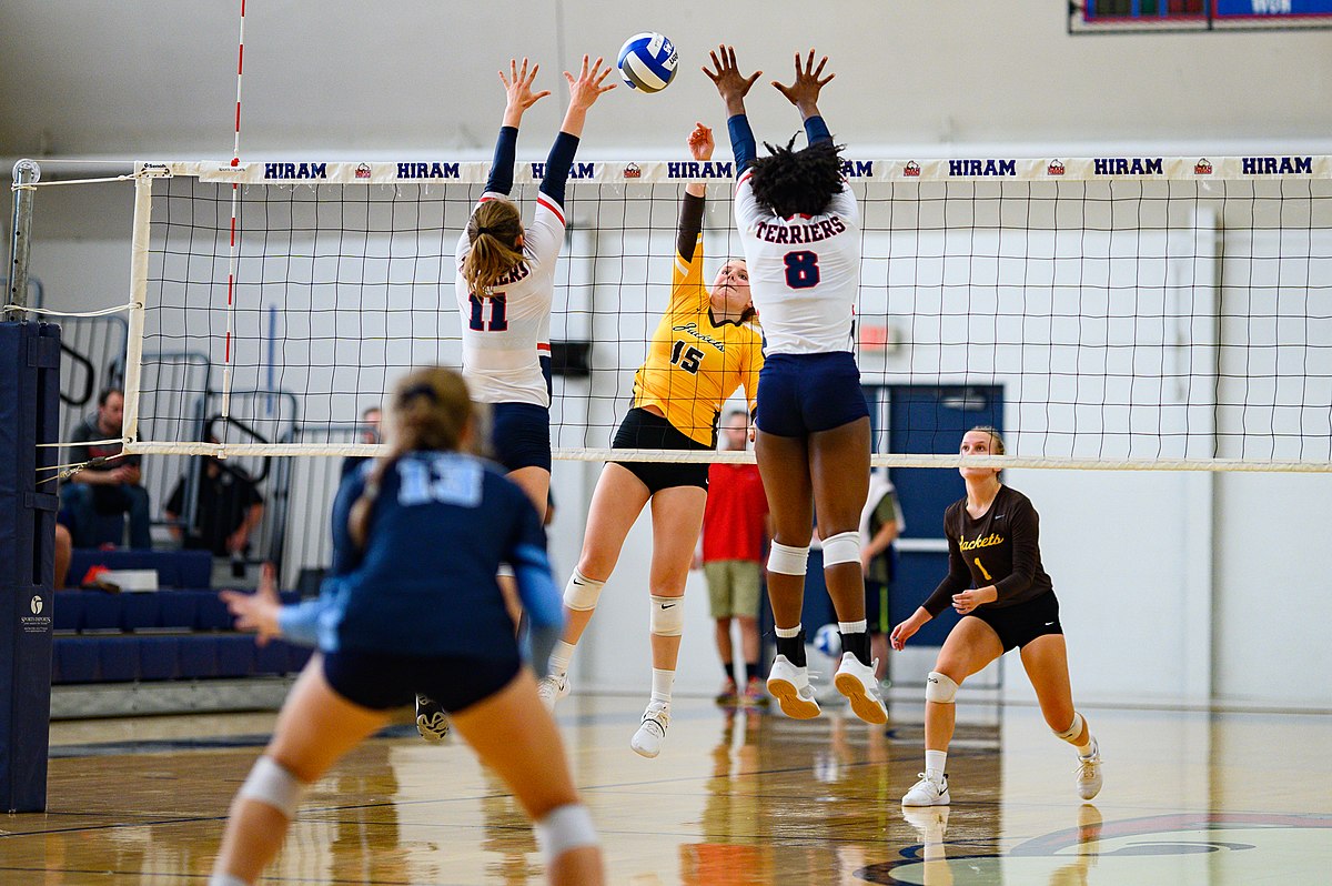 1200px-Baldwin_Wallace_Yellow_Jackets_Volleyball_(48781749068).jpg