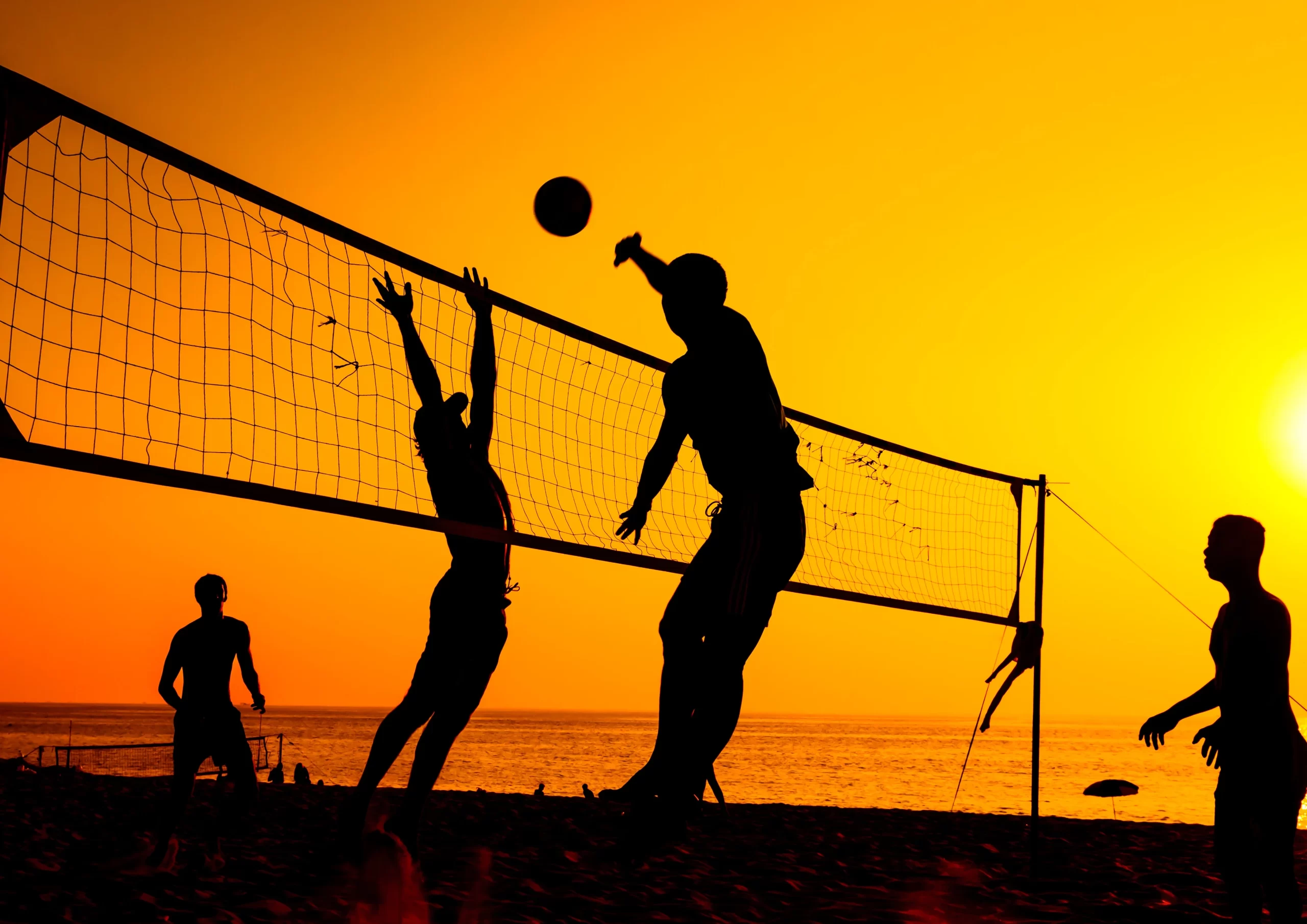 VOLLEY.webp