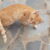Profile picture of Angeliki Ch.